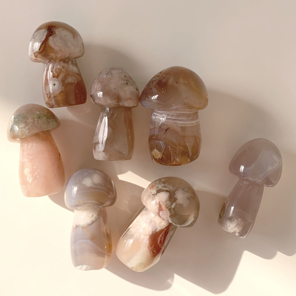 Agate mushrooms flower floral bloom genuine semiprecious gemstone hand carved mushroomcore