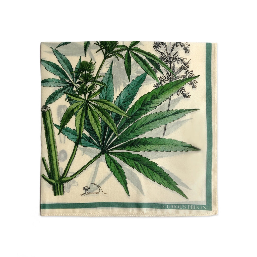 Silk Botanical Cannabis Print Scarf