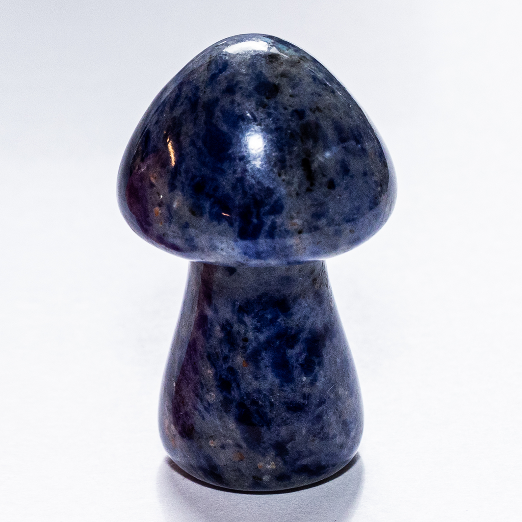 sodalite crystal mushroom carved stone figurine foraging gifts